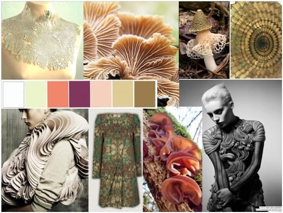 Fungi fashion inspiration mood board