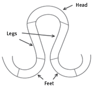 Parts of a knitting loop