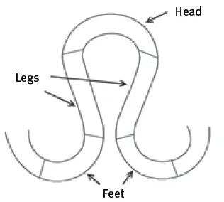 Parts of a knitting loop