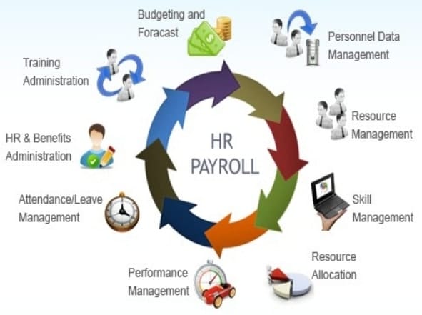 HRD and Payroll system development in textile industry