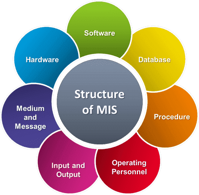 structure of management information system
