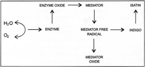 Mechanism of decolourisation