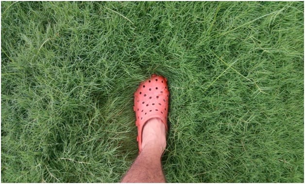Summer fashion Footwear