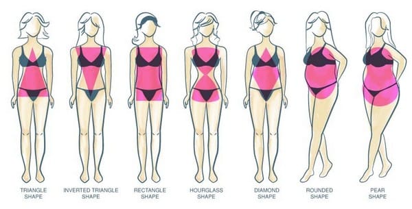 Silhouette or Female body shapes in fashion