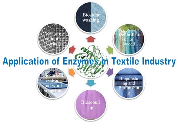 Application of Enzymes in Textile Industry