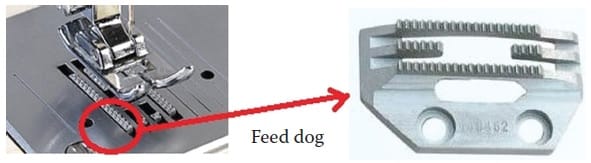 feed dog